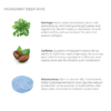 moringa, caffeine, niacinamide as key ingredient
