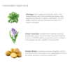 skincare ingredient