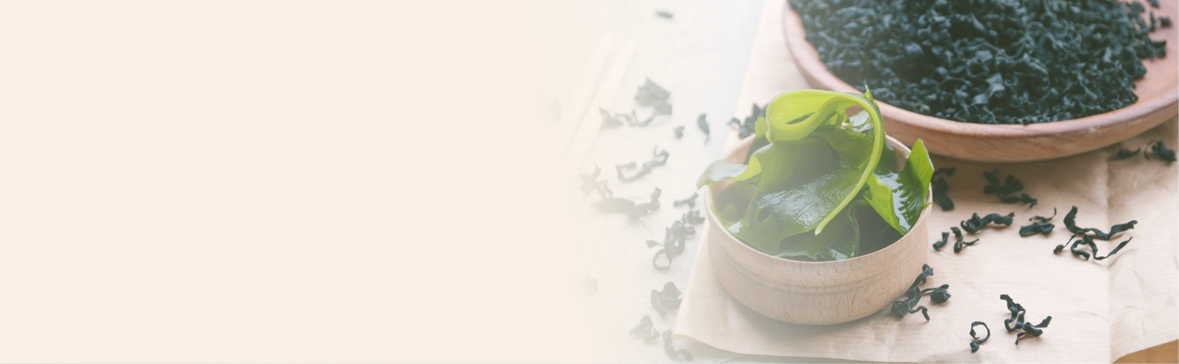 banner-image
